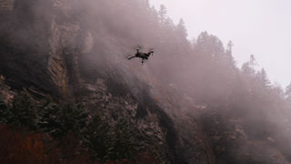 Les drones ont commencé à repérer les loups Les drones ont commencé à repérer les loups