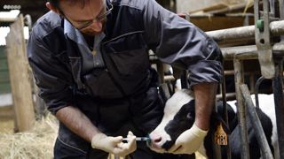 De nouvelles mesures pour renforcer le maillage vétérinaire De nouvelles mesures pour renforcer le maillage vétérinaire