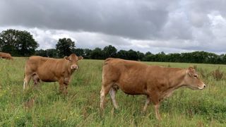 Défendre le modèle français herbivore à l’international Défendre le modèle français herbivore à l’international