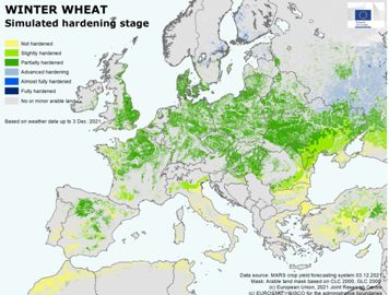 Niveau d’endurcissement du blé tendre au 3 décembre 2021. Jaune : pas endurci ; bleu foncé : totalement endurci. © Commission européenne