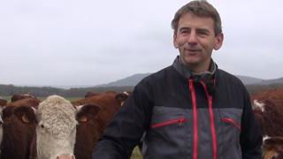 « Je finis mes génisses et mes vaches à l’herbe » (Vidéo) « Je finis mes génisses et mes vaches à l’herbe » (Vidéo)
