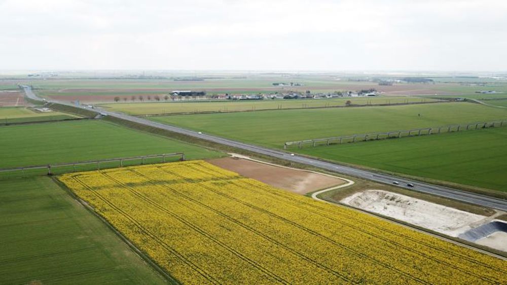 L’Anses rend deux avis sur l’arrêté « néonicotinoïdes »
