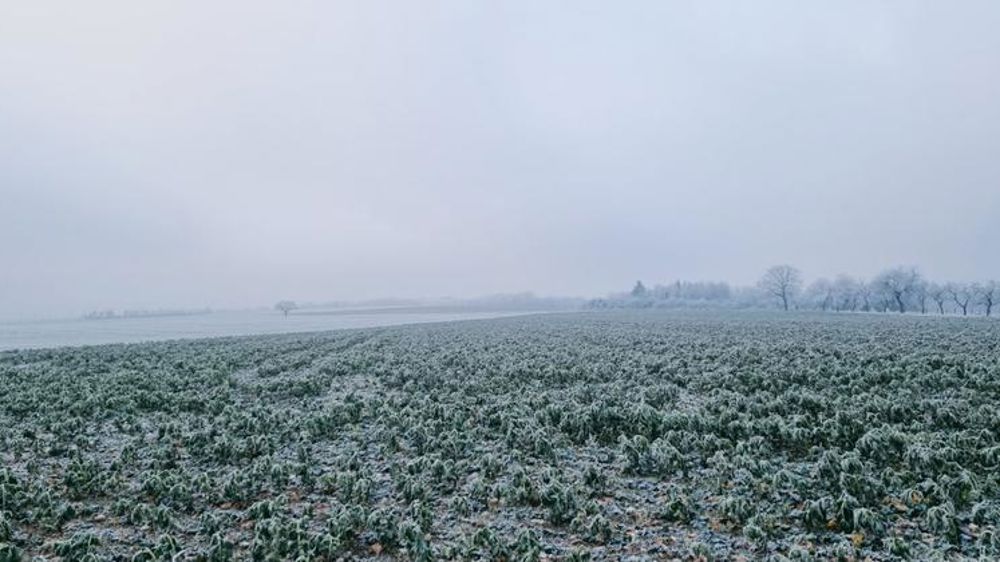 Vers un Noël doux et humide