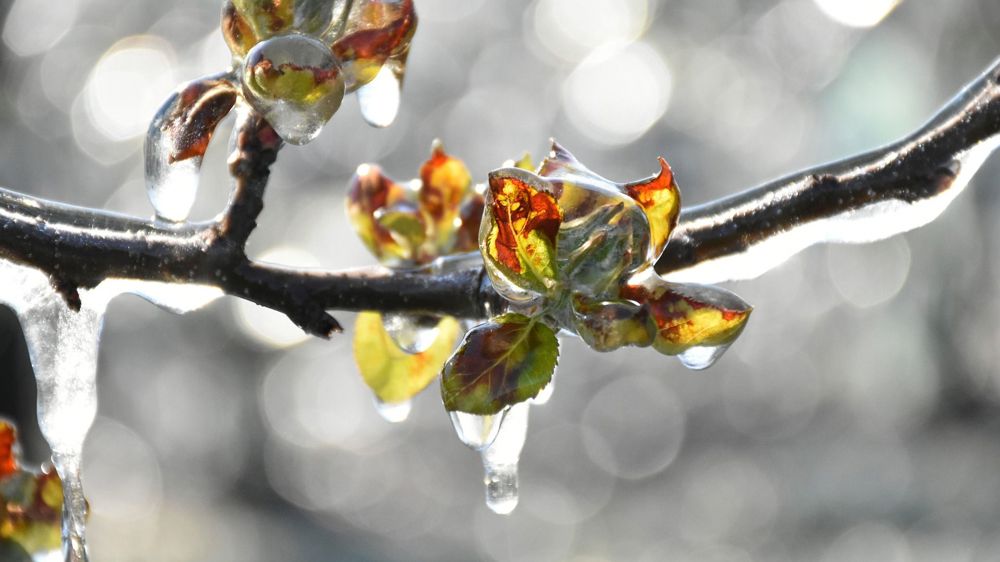 Des réserves autour du pool d’assureurs