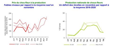 Alors que la production nationale de choux-fleur a chuté sur la campagne de 2021 en raison de la météo de novembre, les cours ont dépassé ceux de 2020. © Agreste — Insee