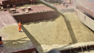 Rechute des prix en céréales mais ceux des oléagineux sont soutenus Rechute des prix en céréales mais ceux des oléagineux sont soutenus
