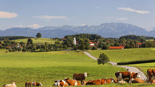 Les arbitrages allemands pour la future Pac Les arbitrages allemands pour la future Pac