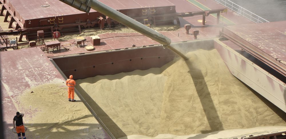 En dépit de critiques de Moscou, qui estime être entravé dans ses exportations agricoles du fait des sanctions, le blé russe s'impose sur le marché.