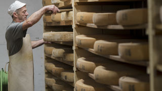 Le Comté, ainsi que 19 autres fromages AOP, sont désormais exclus de l'obligation de transparence sur le coût de la matière première agricole dans les relations commerciales. Le Comté, ainsi que 19 autres fromages AOP, sont désormais exclus de l'obligation de transparence sur le coût de la matière première agricole dans les relations commerciales.