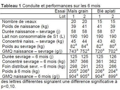 concentré veaux essai