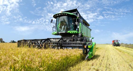 Selon le Cic la production mondiale de blé 2012 devrait atteindre 695 millions de tonnes