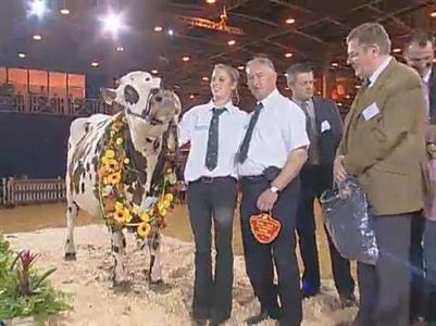 Chance se classe grande championne de la race normande au Sia 2012 à Paris