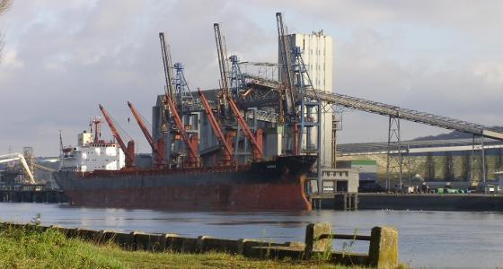 Les cours du maïs et du blé ont été portés par des rumeurs sur des ventes à l'export