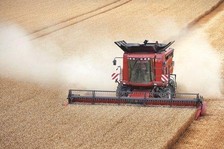Le blé a vu son prix reculer après des prises de bénéfices