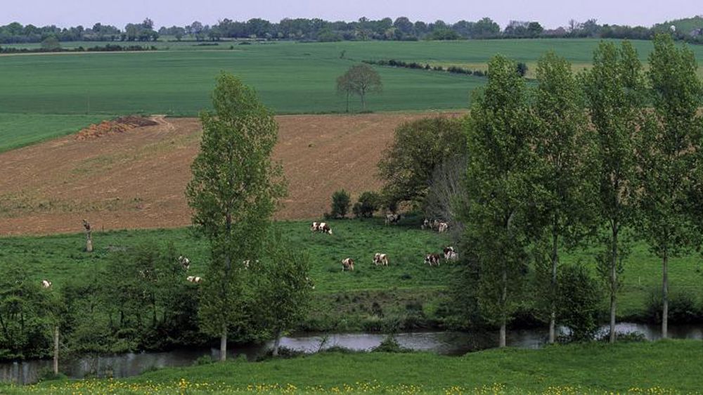 Révision du document d’orientation national