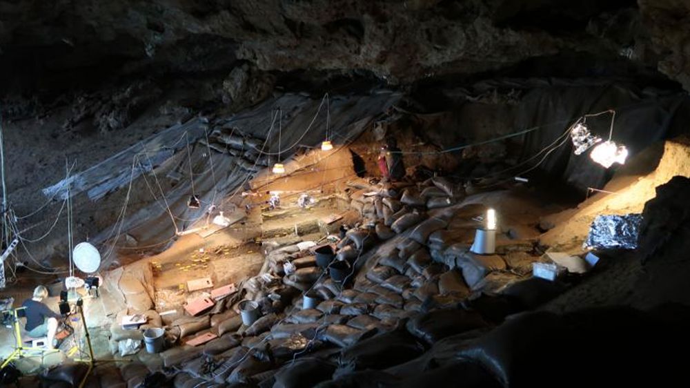 Les premiers « homo sapiens » cuisaient déjà des tubercules