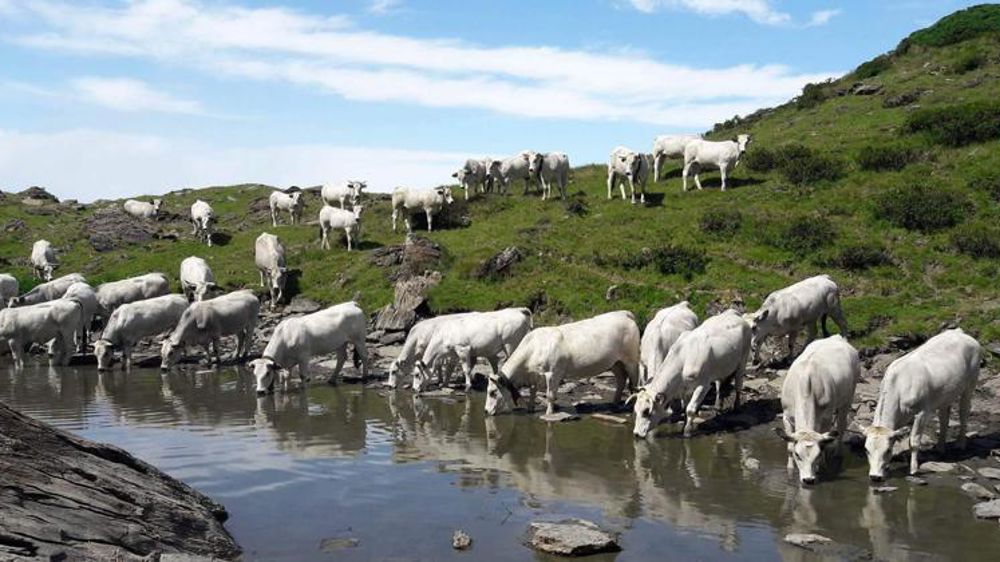 Lutter contre les idées fausses