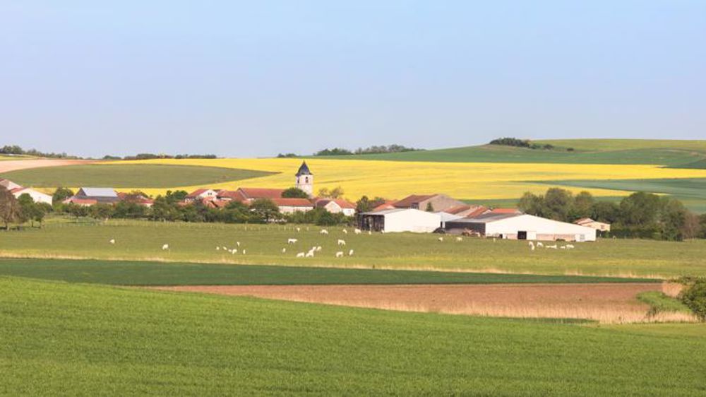 Le « grand débat » devra se faire au plus près des citoyens