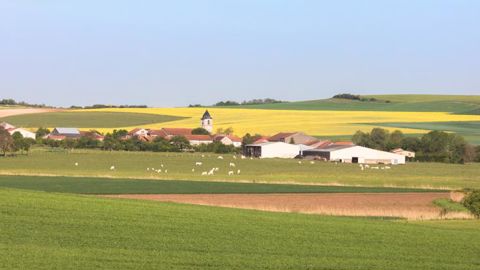 Le « grand débat » devra se faire au plus près des citoyens Le « grand débat » devra se faire au plus près des citoyens
