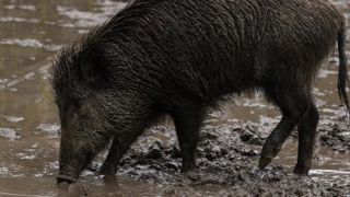 Réunion au sommet lundi à Paris Réunion au sommet lundi à Paris