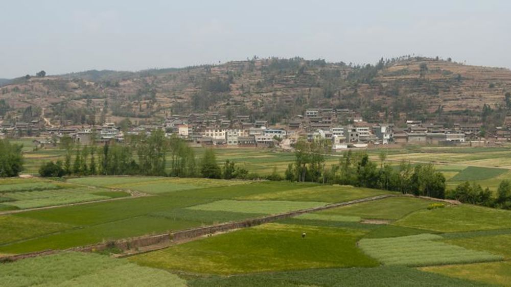 « Réformes politiques nécessaires pour stimuler la production de maïs »