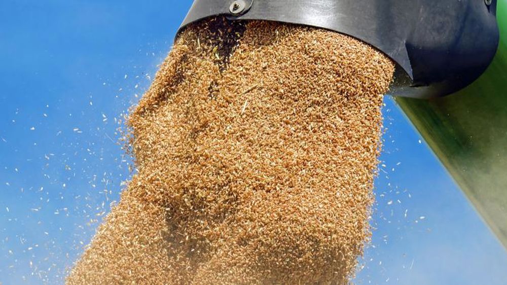 Les céréales dopent l’excédent français