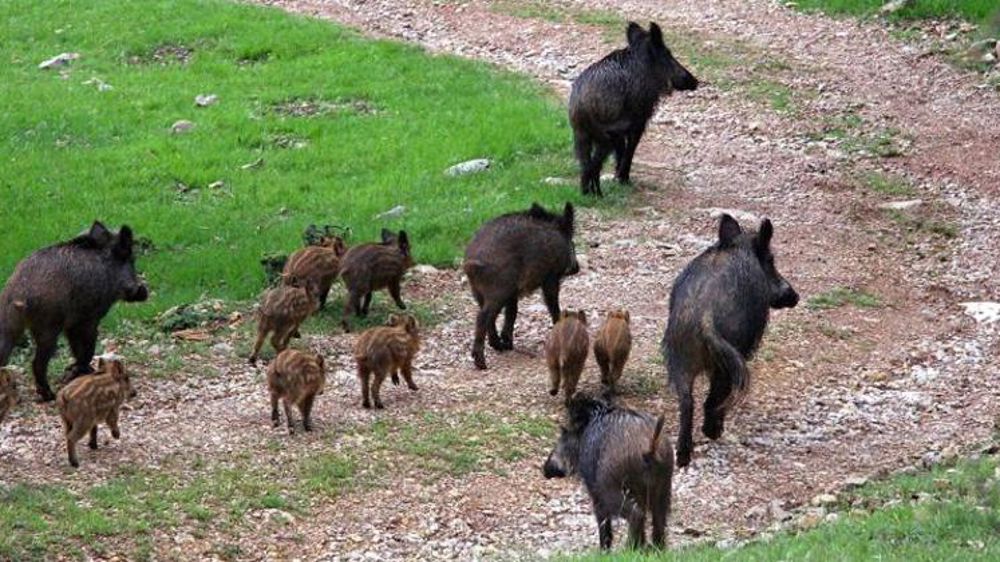 24 communes en zone blanche