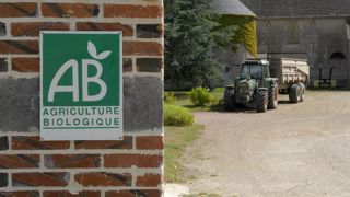 UE : hausse de 25 % des surfaces entre 2012 et 2017 UE : hausse de 25 % des surfaces entre 2012 et 2017