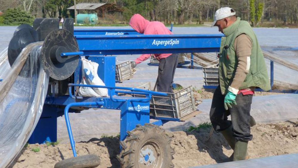 L’agriculture, championne du travail détaché