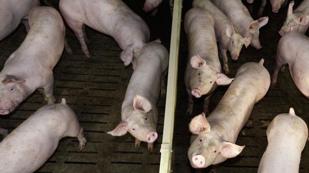 L’interprofession publie des indicateurs de filière