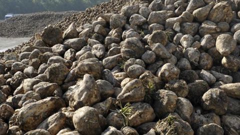 « Un coup terrible pour 2 500 planteurs de betteraves » « Un coup terrible pour 2 500 planteurs de betteraves »
