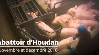 Des amendes requises pour maltraitances Des amendes requises pour maltraitances