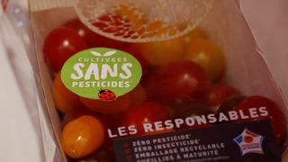 Des tomates bretonnes « Cultivées sans pesticides » Des tomates bretonnes « Cultivées sans pesticides »
