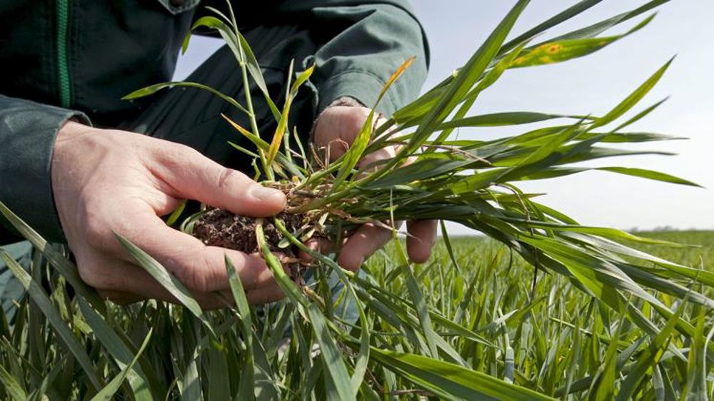 Taux de prise en charge des primes et cotisations pour 2019