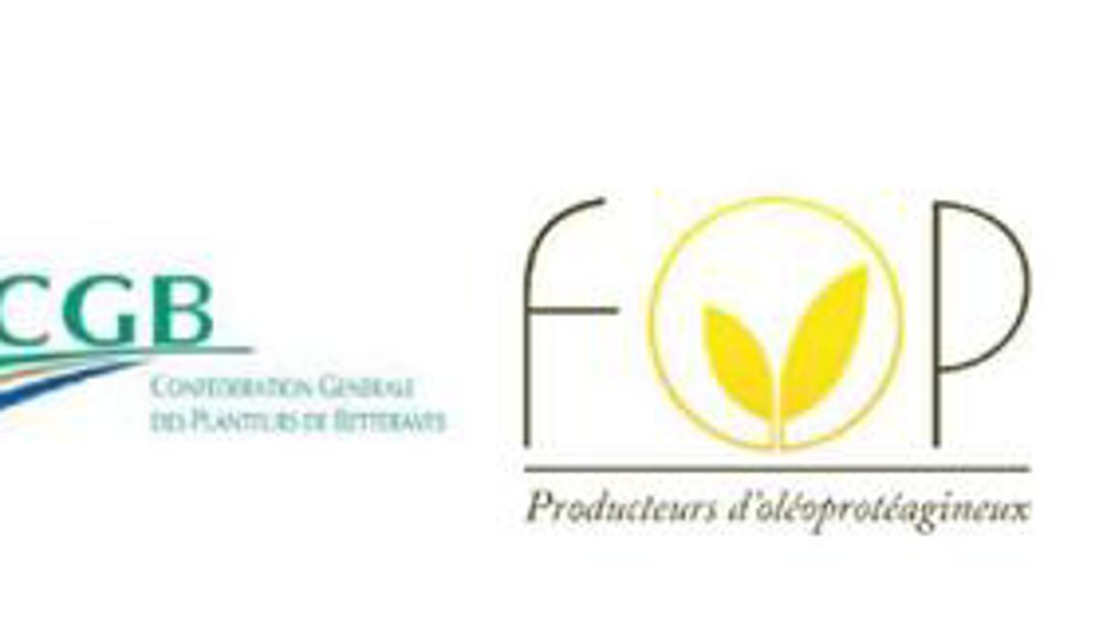 Inquiétudes des producteurs de grandes cultures