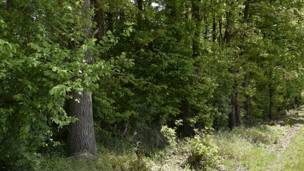 Le déficit commercial se creuse