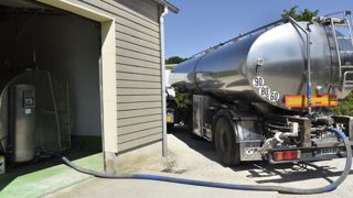 L’exportation, premier débouché du lait français L’exportation, premier débouché du lait français
