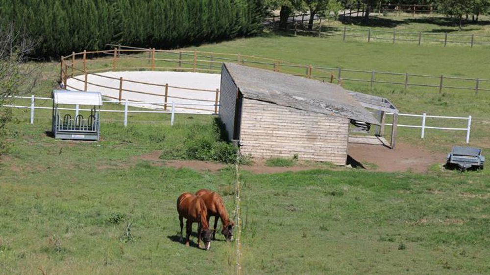 La grippe équine « stabilisée »