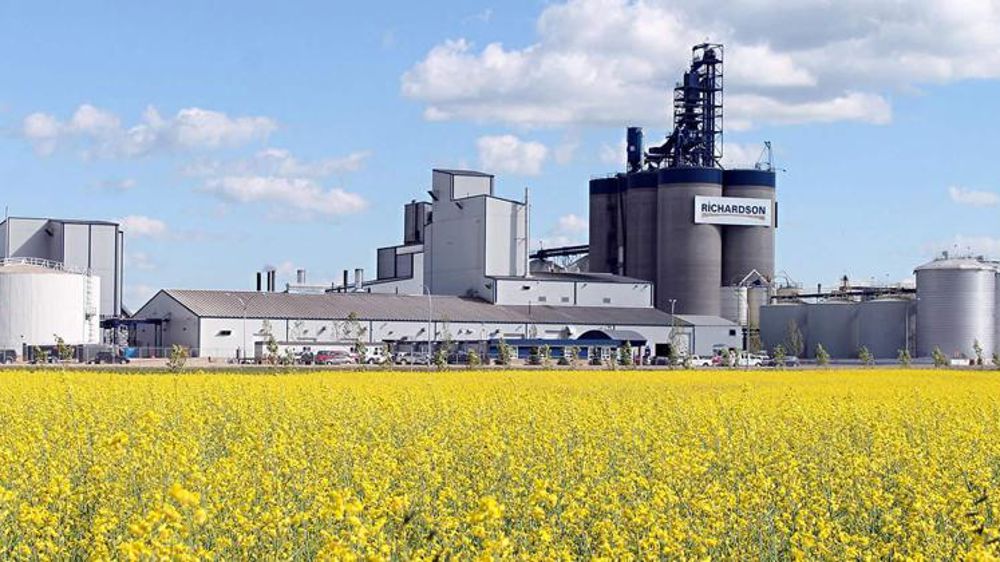 Ottawa dénonce le boycott chinois de colza canadien