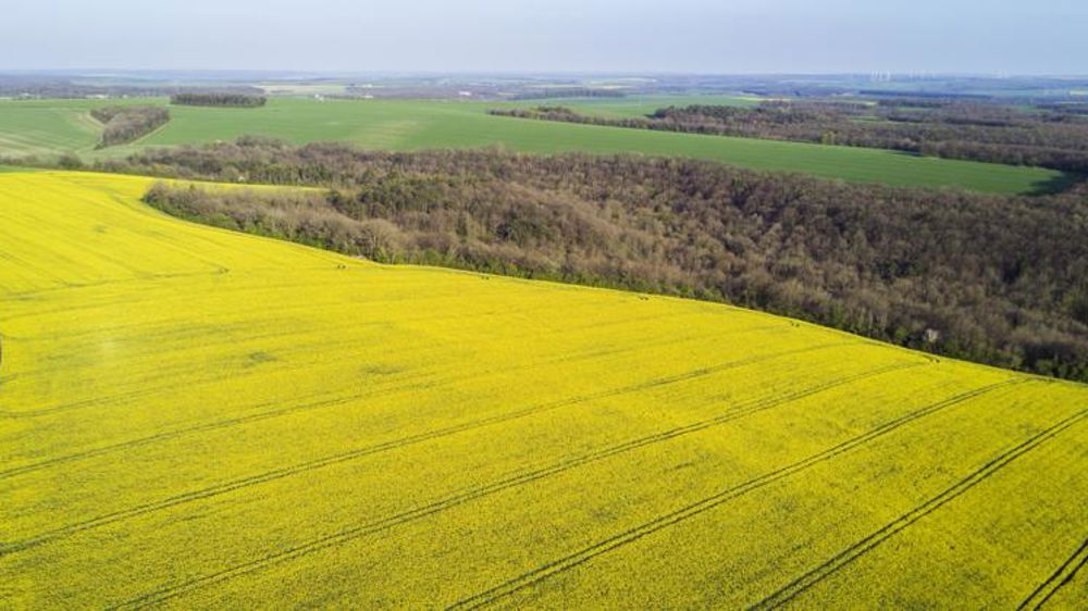 Favoriser les biocarburants à base d’huile de colza