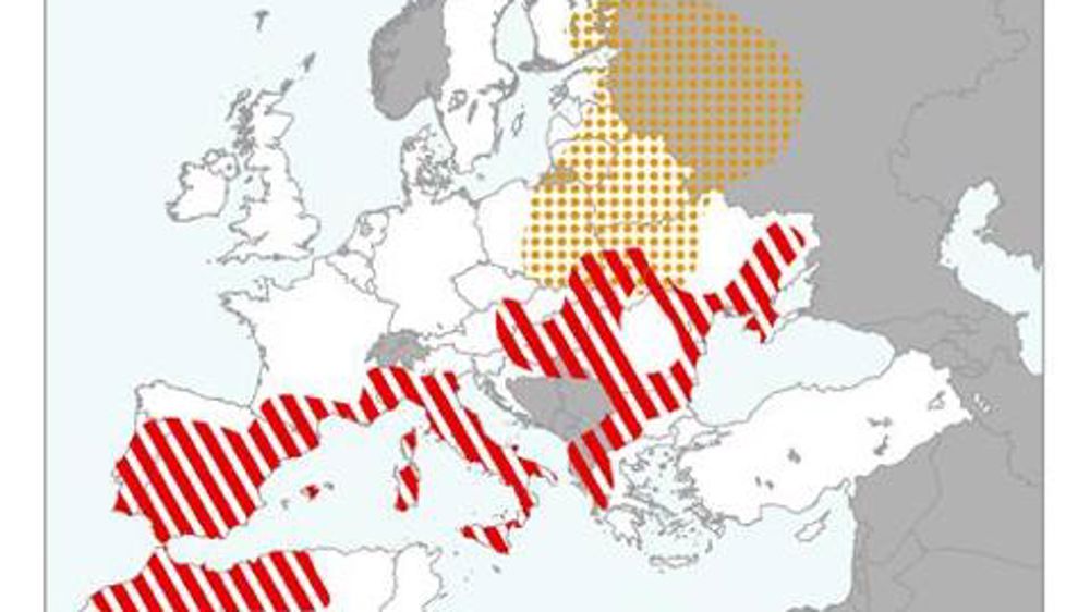 Les cultures d’hiver en bonne forme