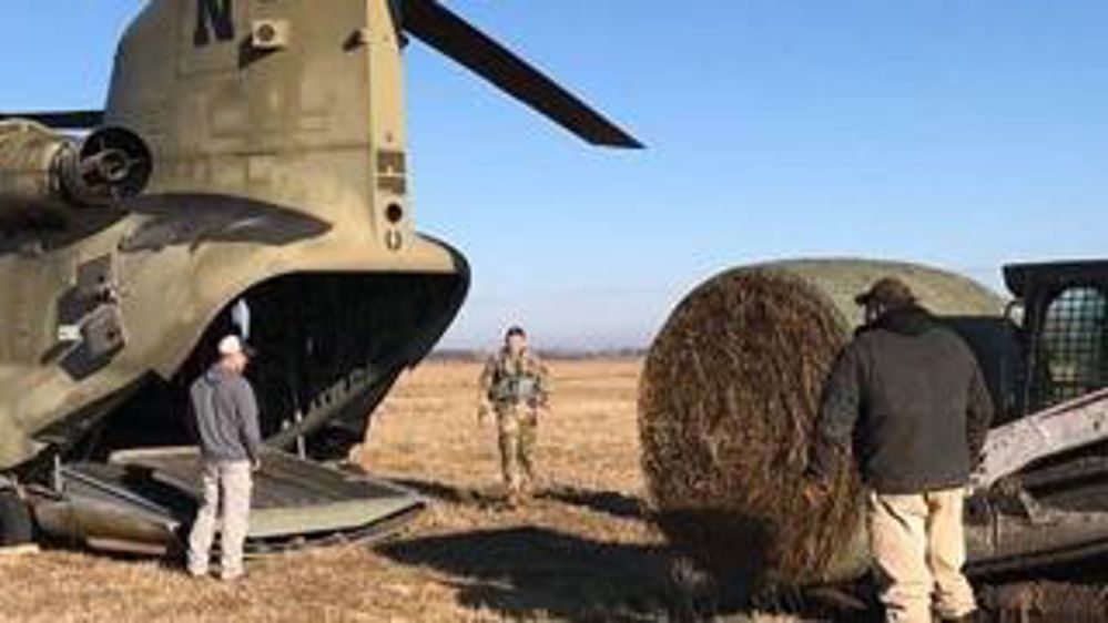 L’armée au secours de l’élevage
