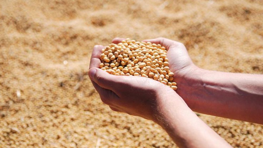 Le Brésil et l’Argentine au rendez-vous