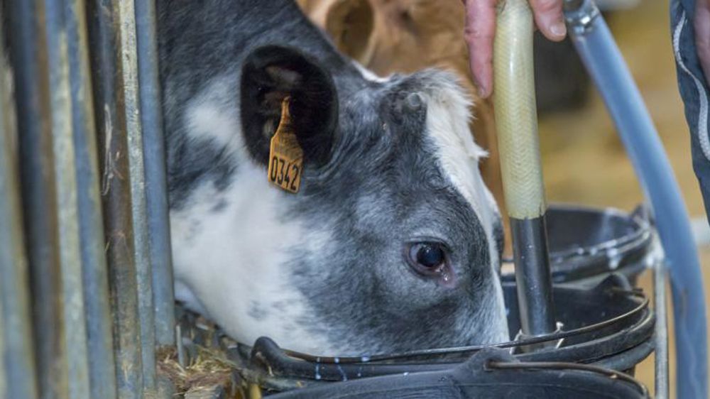 Les éleveurs attendent « un sursaut collectif »