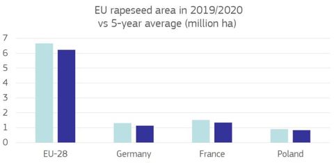 Surfaces de colza en 2019-2020 (bleu foncé) comparé à la moyenne sur 5 ans (bleu clair). Source : Commission européenne, basé sur Eurostat.