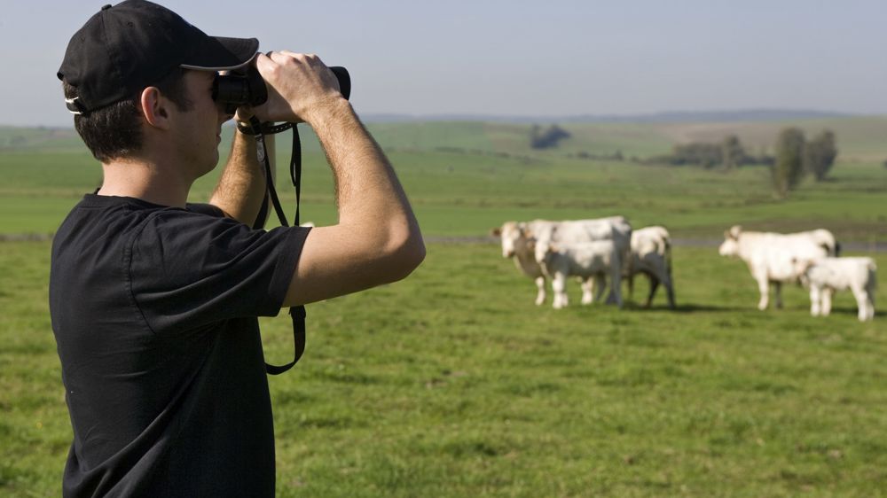 Les agents pourront avancer masqués