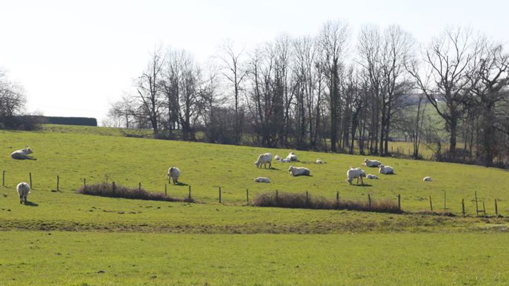 Une situation « d’ores et déjà catastrophique »