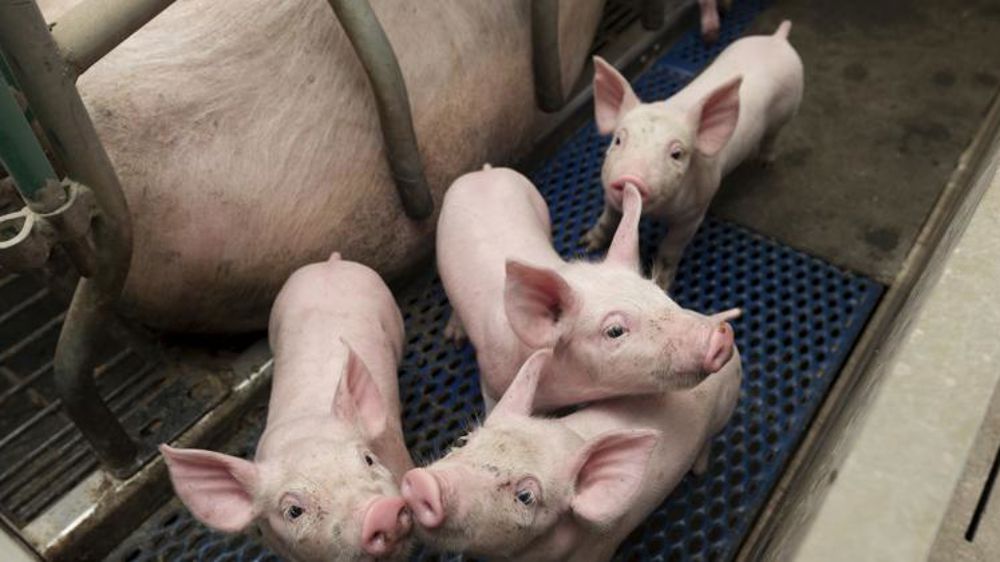 Un collectif s’insurge de nouveau contre le dumping fiscal allemand