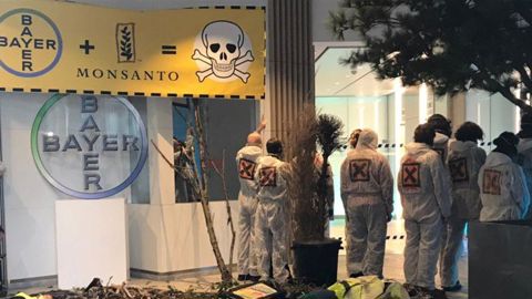 Des militants reproduisent une « nature morte » chez Bayer-Monsanto Des militants reproduisent une « nature morte » chez Bayer-Monsanto