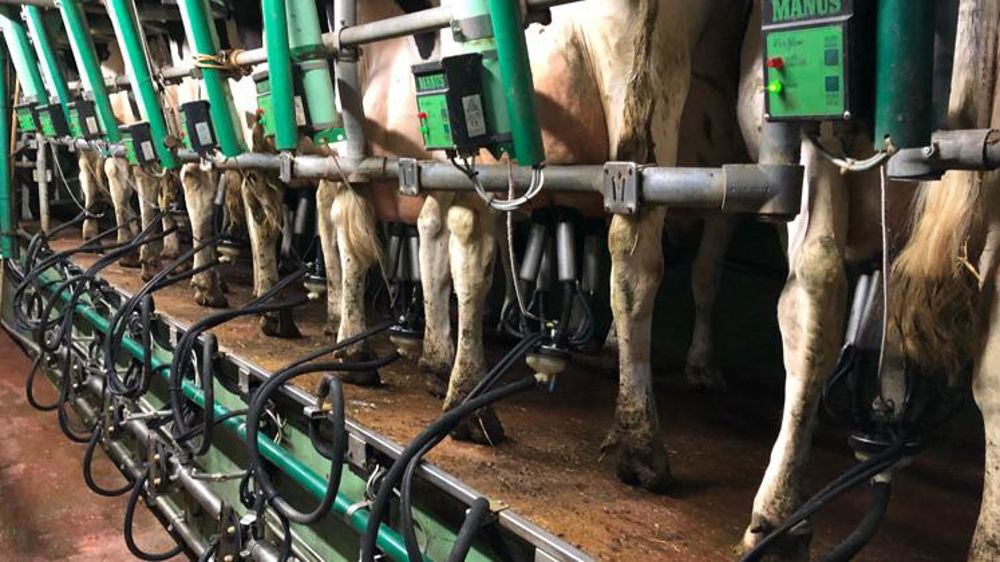 « Les producteurs en ont marre d’attendre »